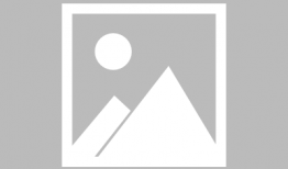 猎人电视剧剧情介绍